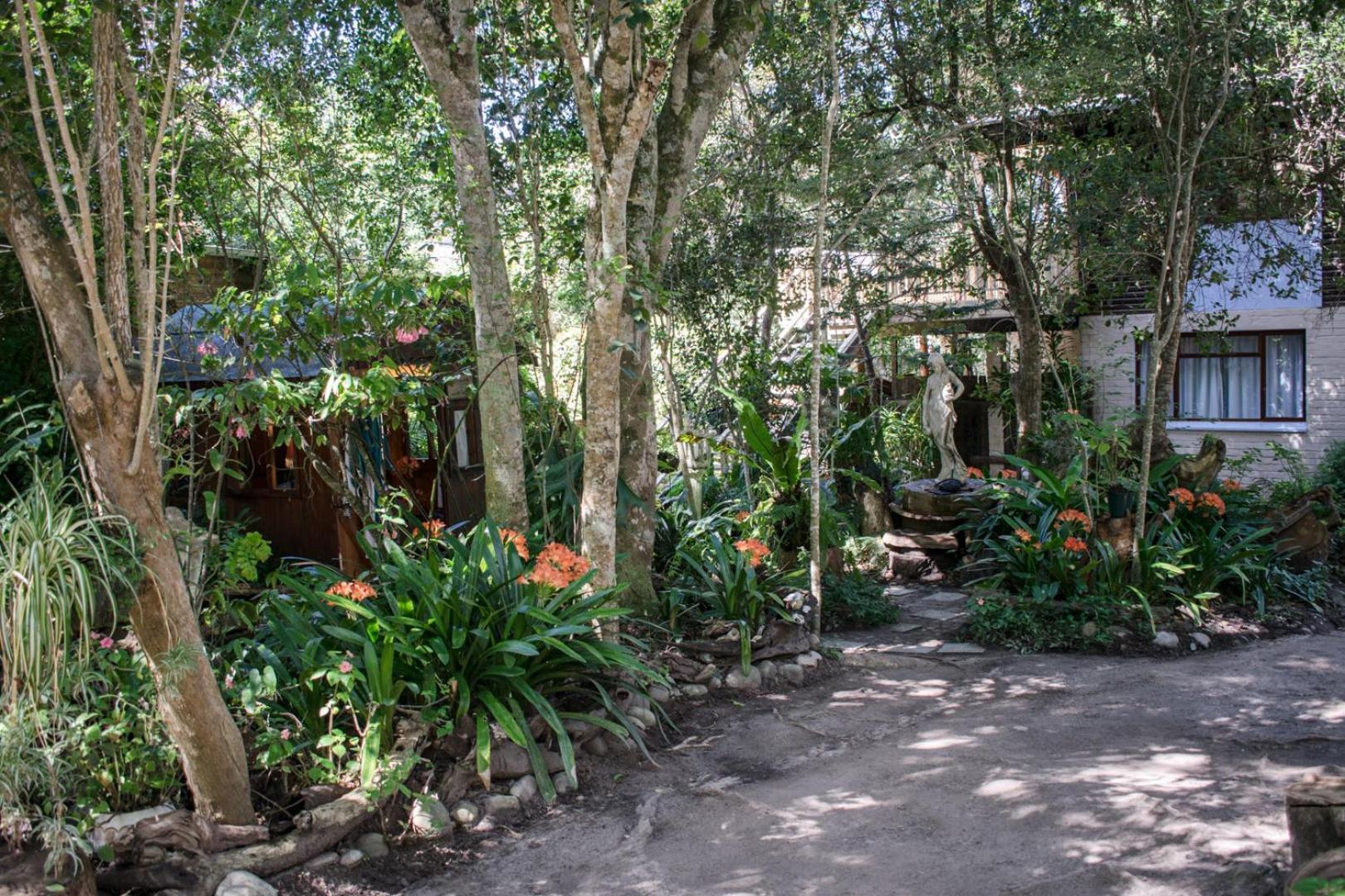 Nature'S Valley Health Retreat A Hide Away In The Forest Exterior foto